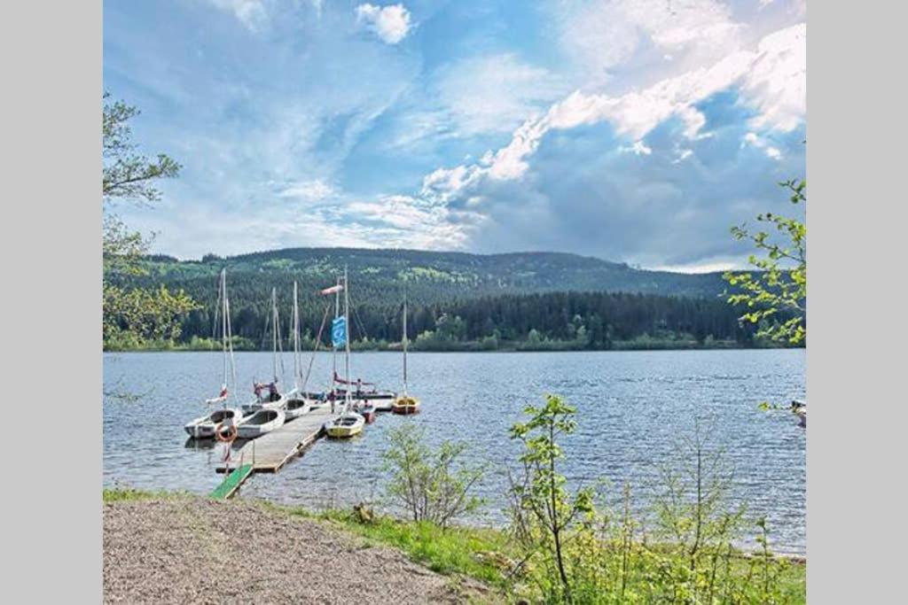 Ferienwohnung Schwarzwald هينترتزارتن المظهر الخارجي الصورة