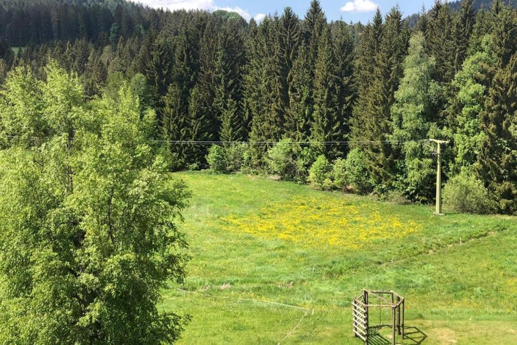 Ferienwohnung Schwarzwald هينترتزارتن المظهر الخارجي الصورة