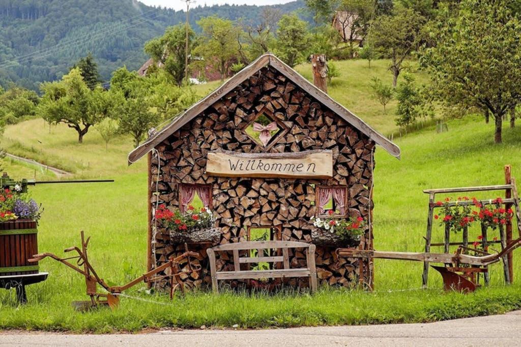 Ferienwohnung Schwarzwald هينترتزارتن المظهر الخارجي الصورة