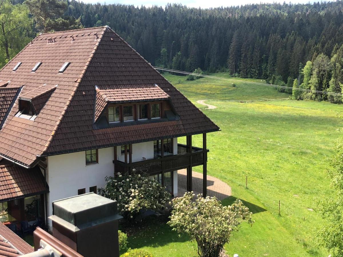 Ferienwohnung Schwarzwald هينترتزارتن المظهر الخارجي الصورة