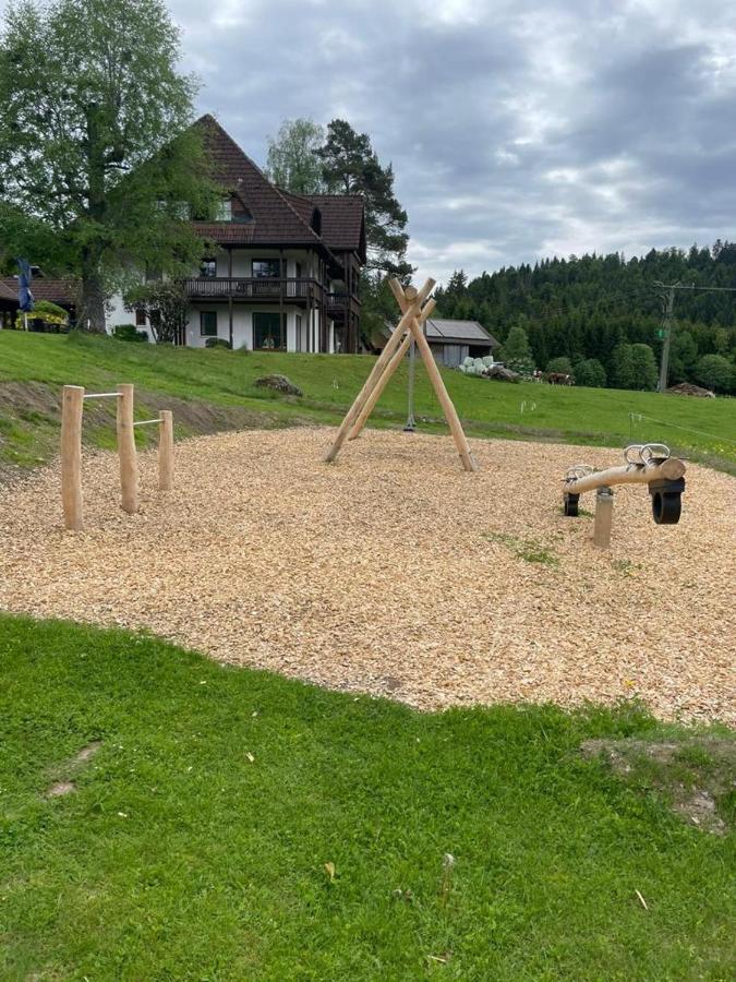 Ferienwohnung Schwarzwald هينترتزارتن المظهر الخارجي الصورة